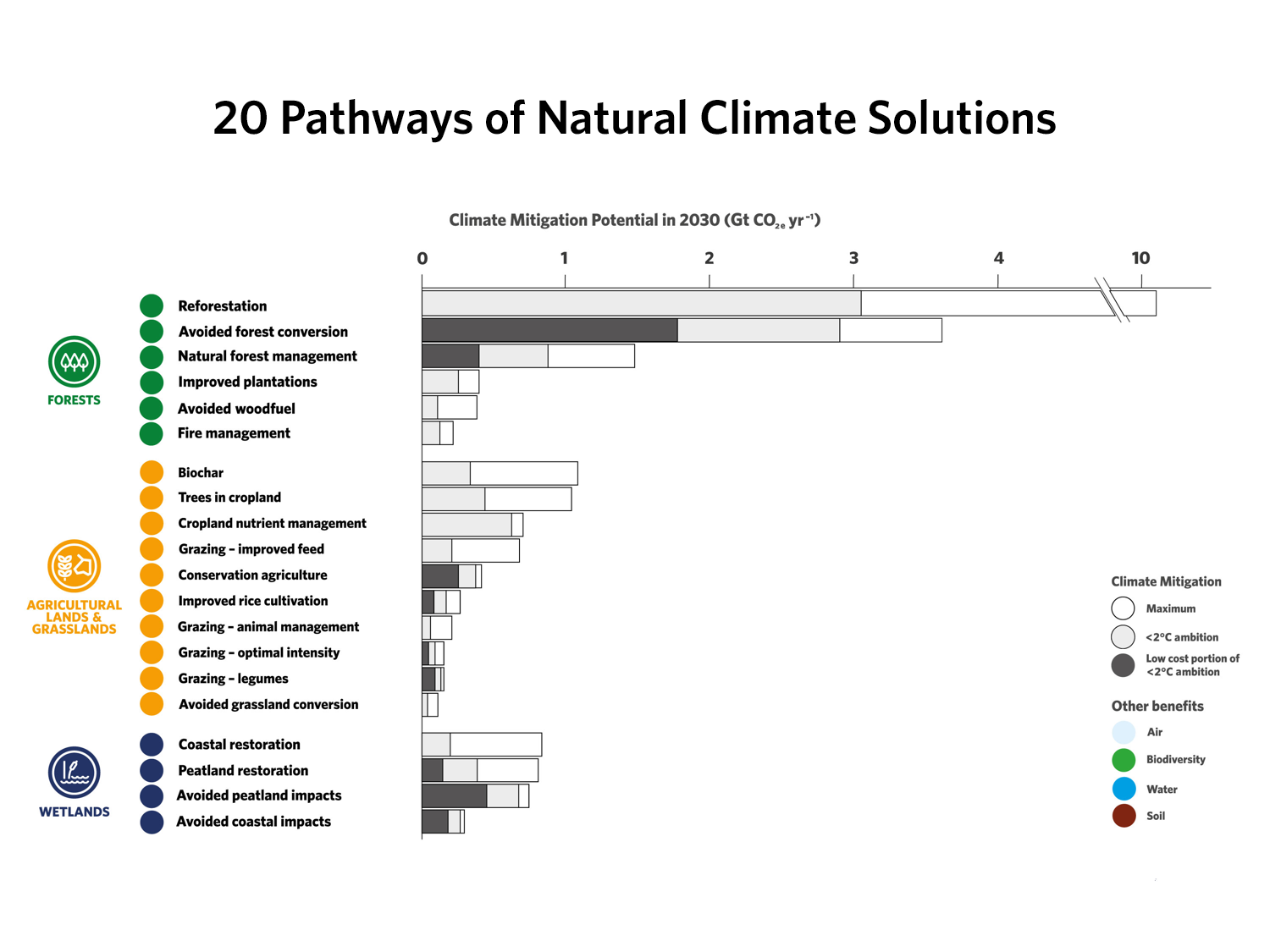 Infographic showing 20 pathways of NCS potential